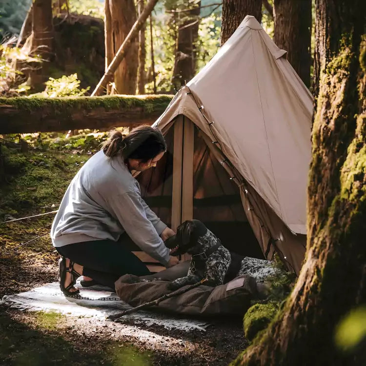 Person setting up a tent in a forest